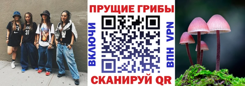 Псилоцибиновые грибы GOLDEN TEACHER  Купить закладки  Цивильск 